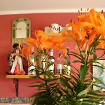El Hidalgo カルプ