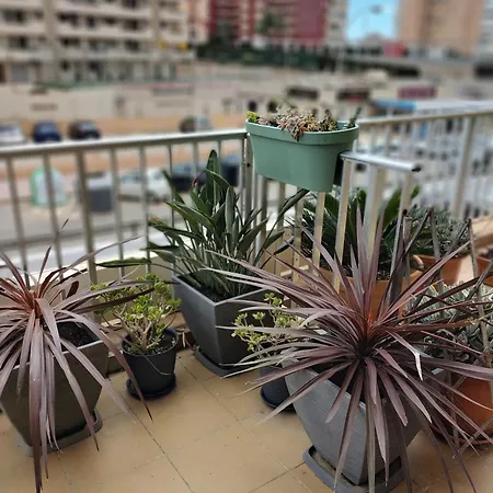 El Hidalgo Penzion Calpe