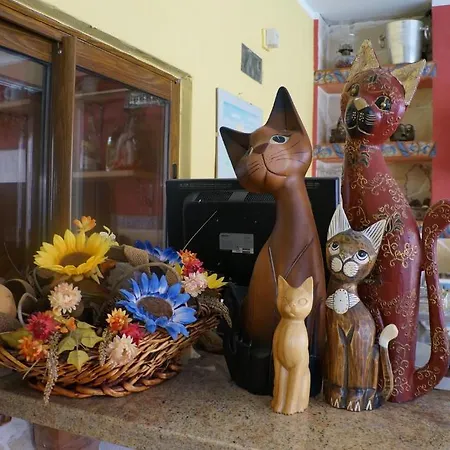 El Hidalgo Гостевой дом