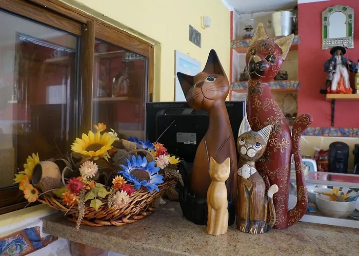 El Hidalgo Casa de hóspedes